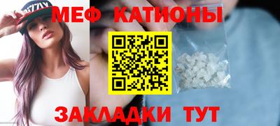 гашик Кингисепп