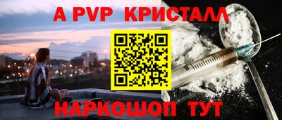 гашик Кингисепп