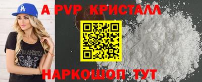 гашик Кингисепп