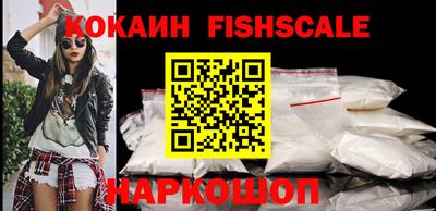 гашик Кингисепп