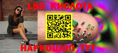 гашик Кингисепп
