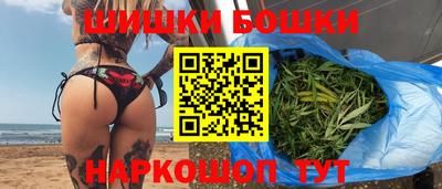 гашик Кингисепп