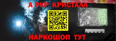 гашик Кингисепп