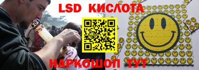 гашик Кингисепп