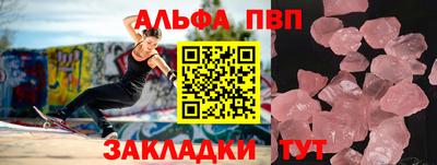 гашик Кингисепп