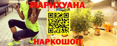 гашик Кингисепп