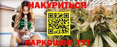 гашик Кингисепп