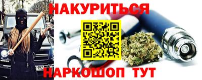 гашик Кингисепп