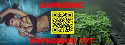 гашик Кингисепп