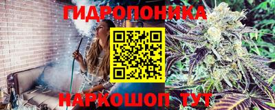 ПСИЛОЦИБИНОВЫЕ ГРИБЫ Кинель