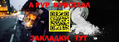 гашик Кингисепп