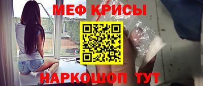гашик Кингисепп