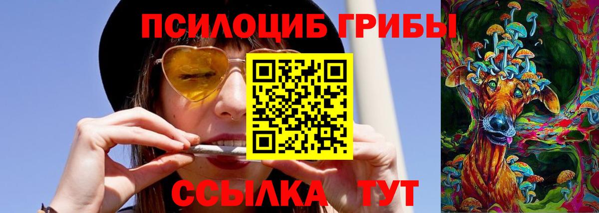 Кинель  Галлюциногенные грибы прущие грибы  Псилоцибиновые грибы MAGIC MUSHROOMS  Вход с VPN 